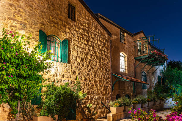 Warm uplighting highlighting home exterior and garden plants in India