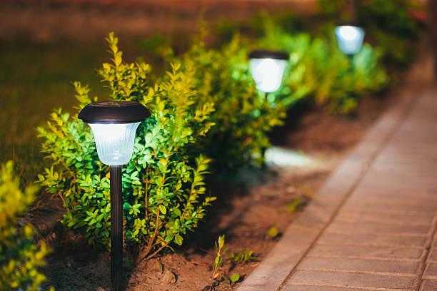 Solar-powered outdoor garden lights for energy-efficient front yard lighting in Mumbai