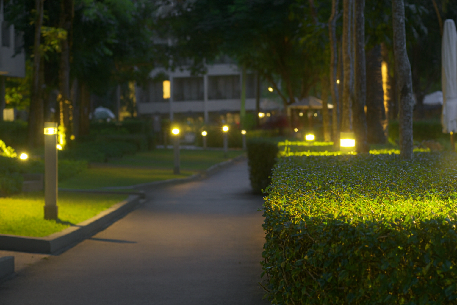 Modern garden landscape lighting design with pathway lights and tree uplighting in India