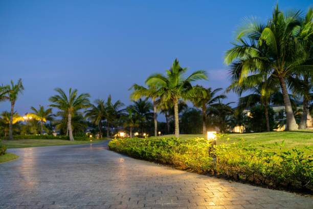 Solar-powered garden spotlights highlighting trees in Mumbai outdoor space