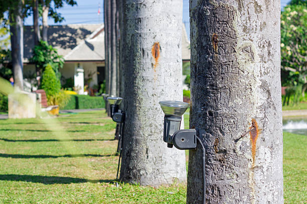 Waterproof solar spotlights for Indian garden landscaping